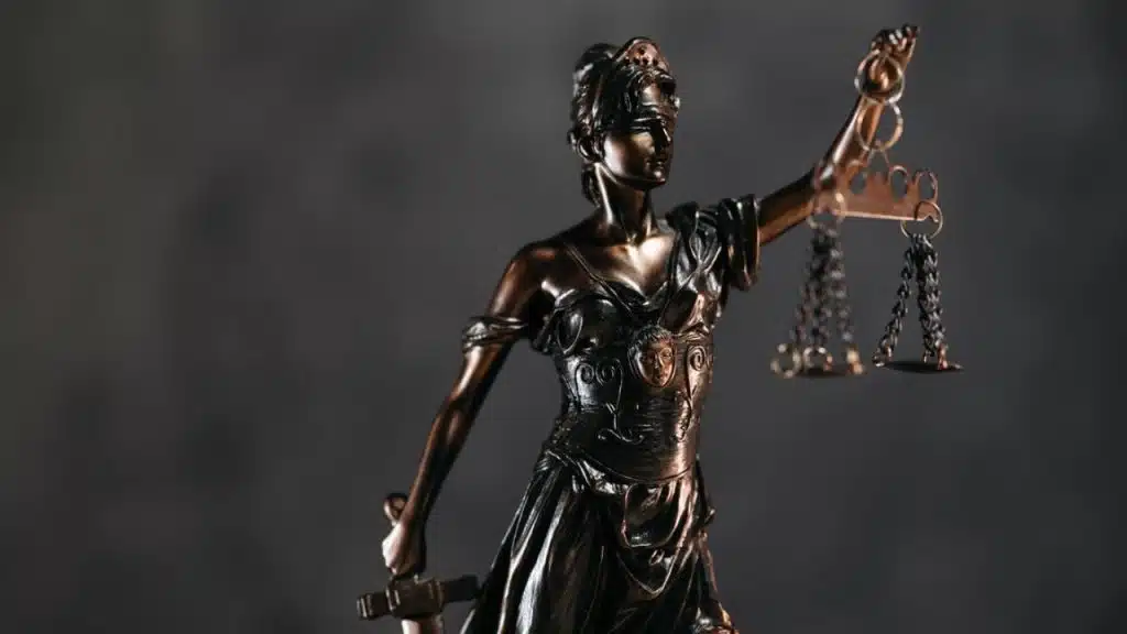 Deportation for Minor Traffic Offenses in Trumps America img