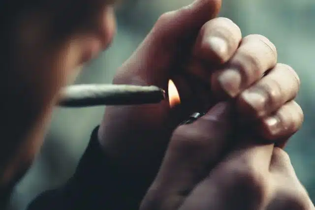 Límites Detallados de Posesión y Cultivo en el Hogar Límites Detallados de Posesión y Cultivo en el Hogar